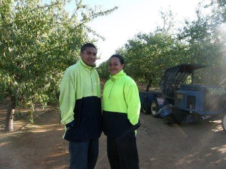 Teamwork and growth with plants in the hands of a group or team of eco people for agriculture