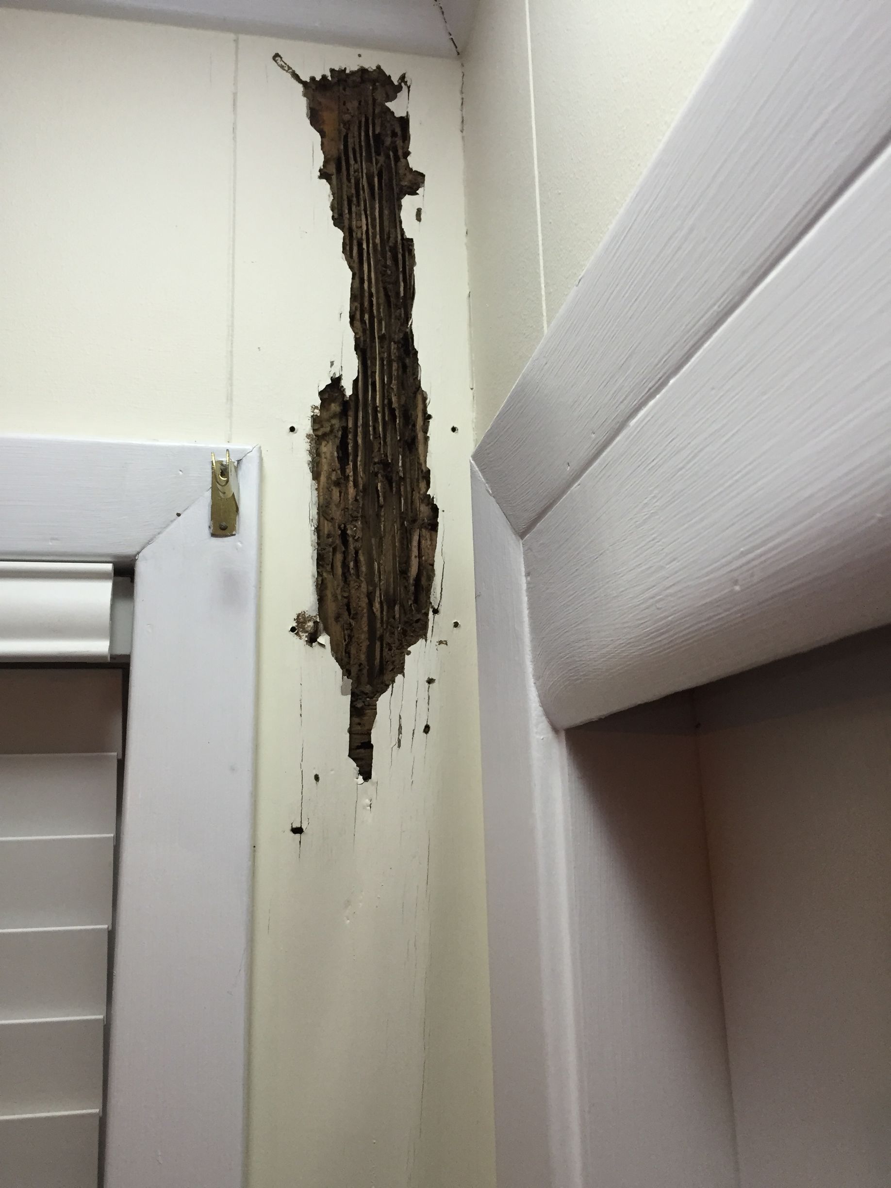 Damaged wooden door frame, with extensive wood rot. White wall and door trim.
