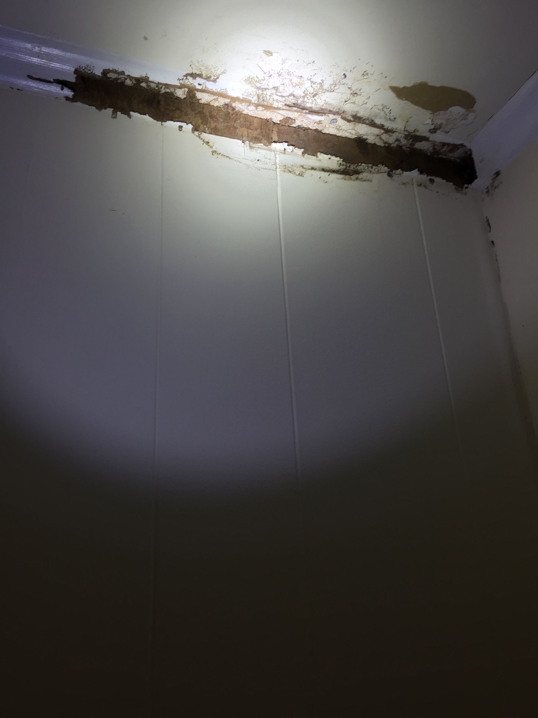 Water damage along the ceiling and wall corner, with visible brown staining and white wall panels.