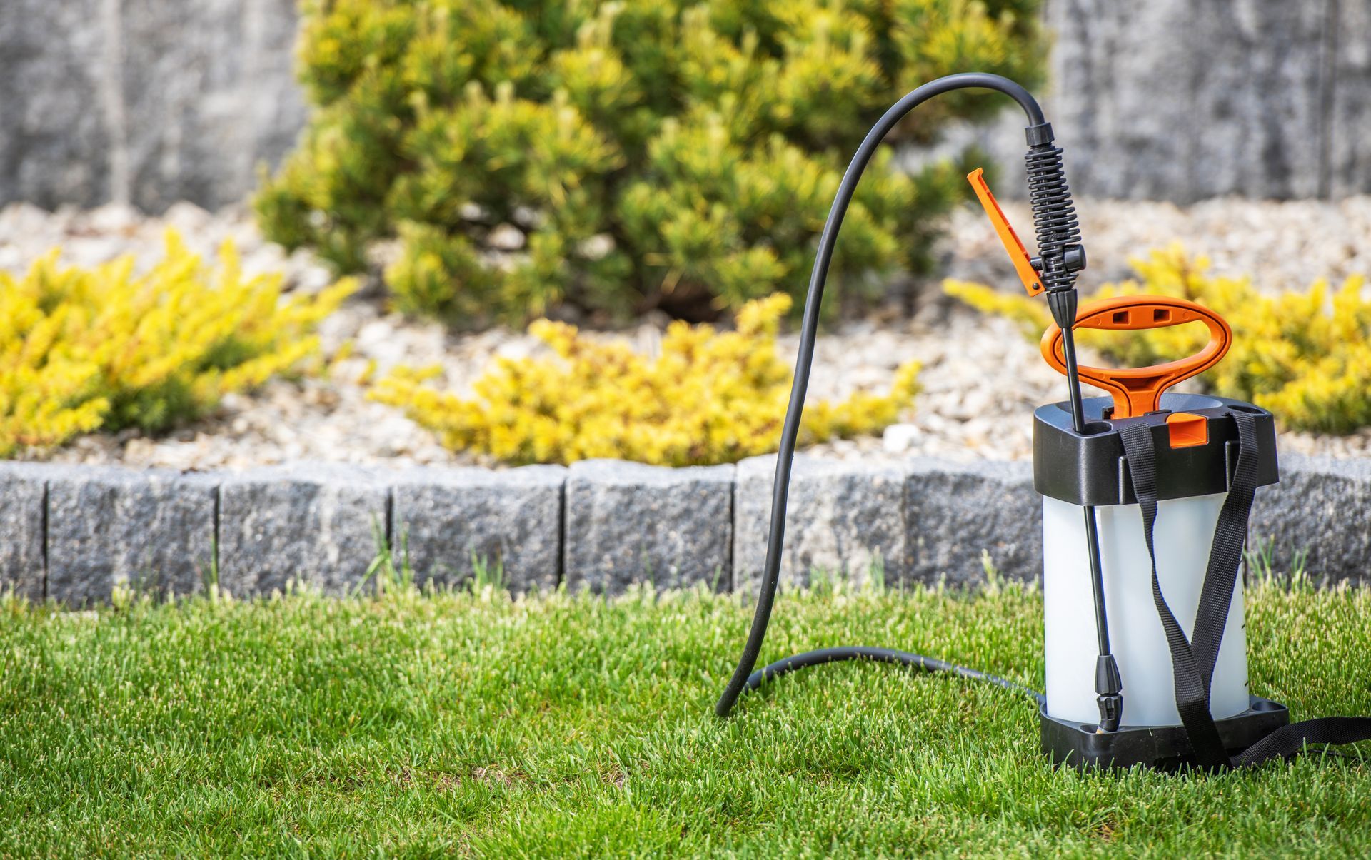 Backpack garden sprayer resting on a lawn