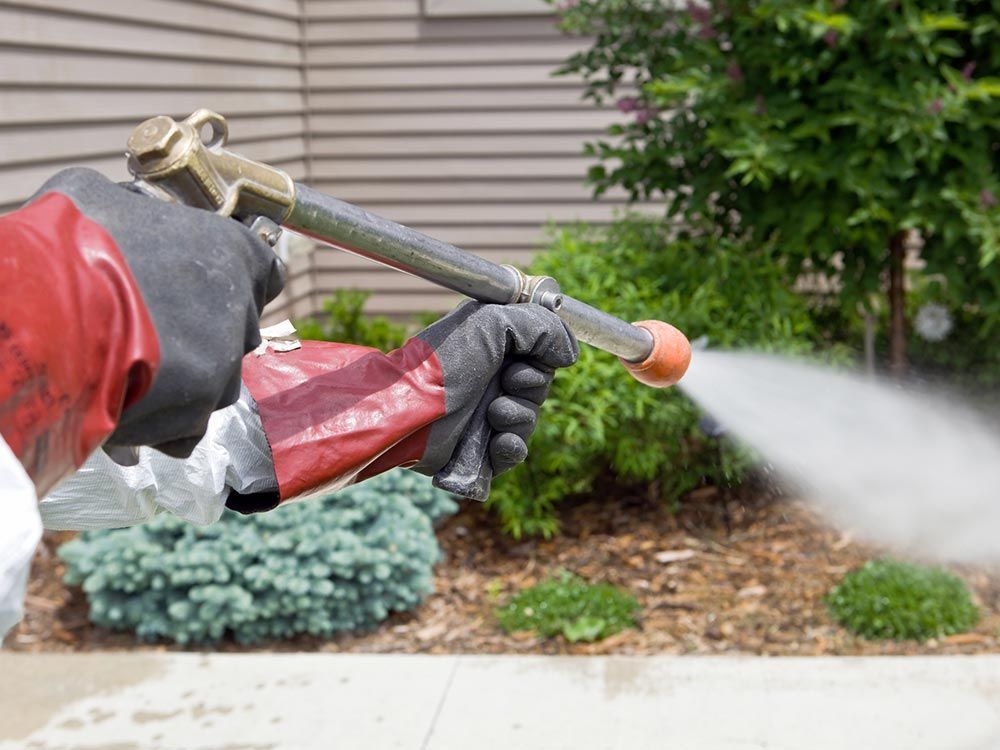 Pest Control Worker Spraying Insecticide