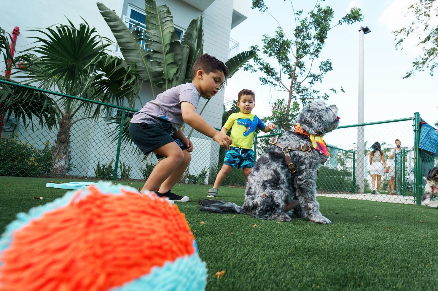 Two children playing on grass with a fluffy black-and-white dog and a colorful toy ball at Atlantica at Dania Beach apartments in Dania Beach, FL.