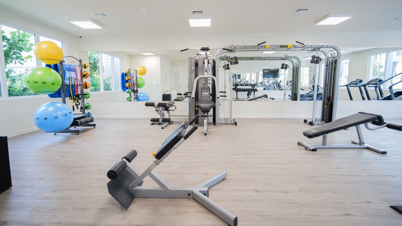 Bright modern gym with exercise machines, weights, and colorful stability balls at Atlantica at Dania Beach apartments in Dania Beach, FL.