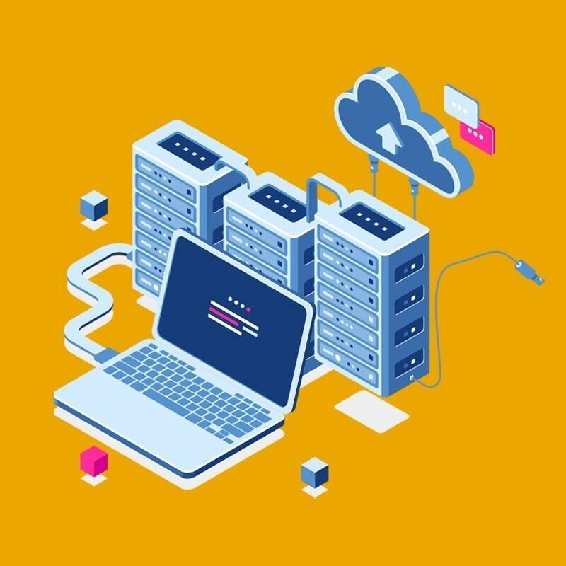 image of a pro hosting website plan with a computer and servers 