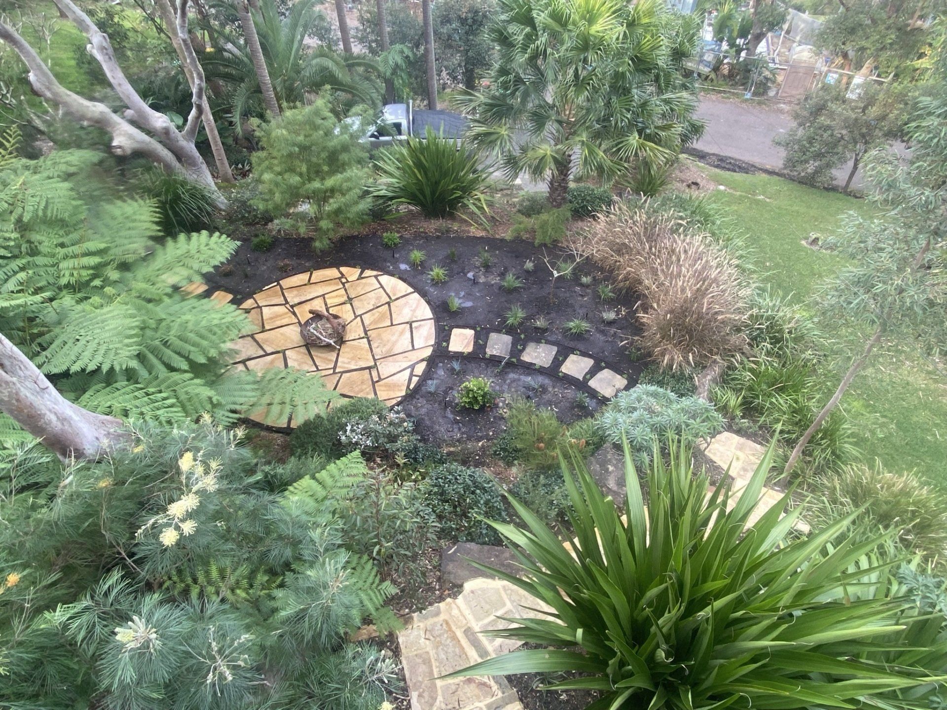 backyard 4