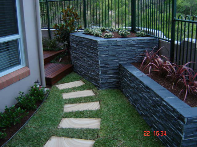 backyard 3