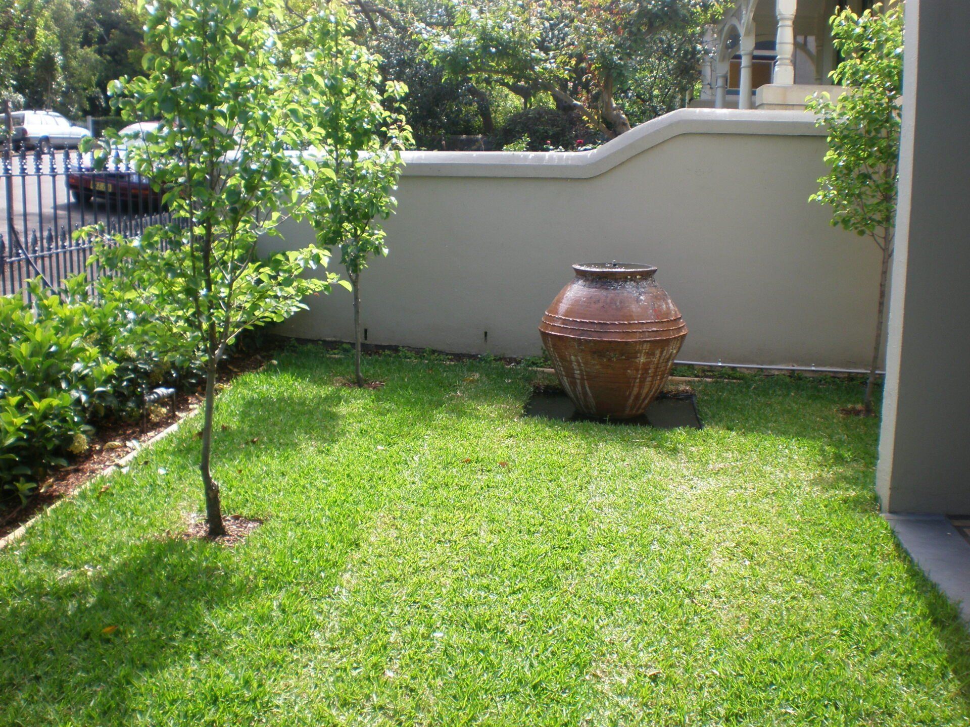 grass 2
