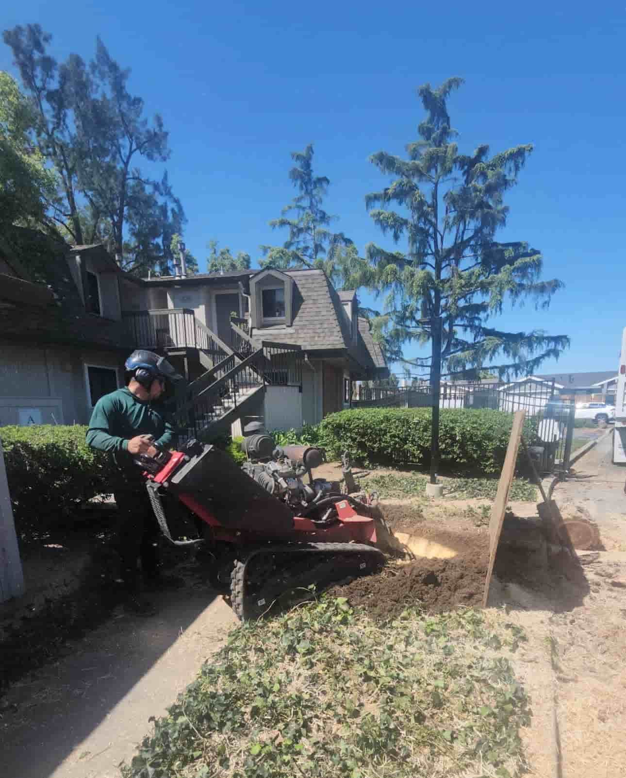 Person on a red lawn mower cutting bushes beside a house on a sunny day