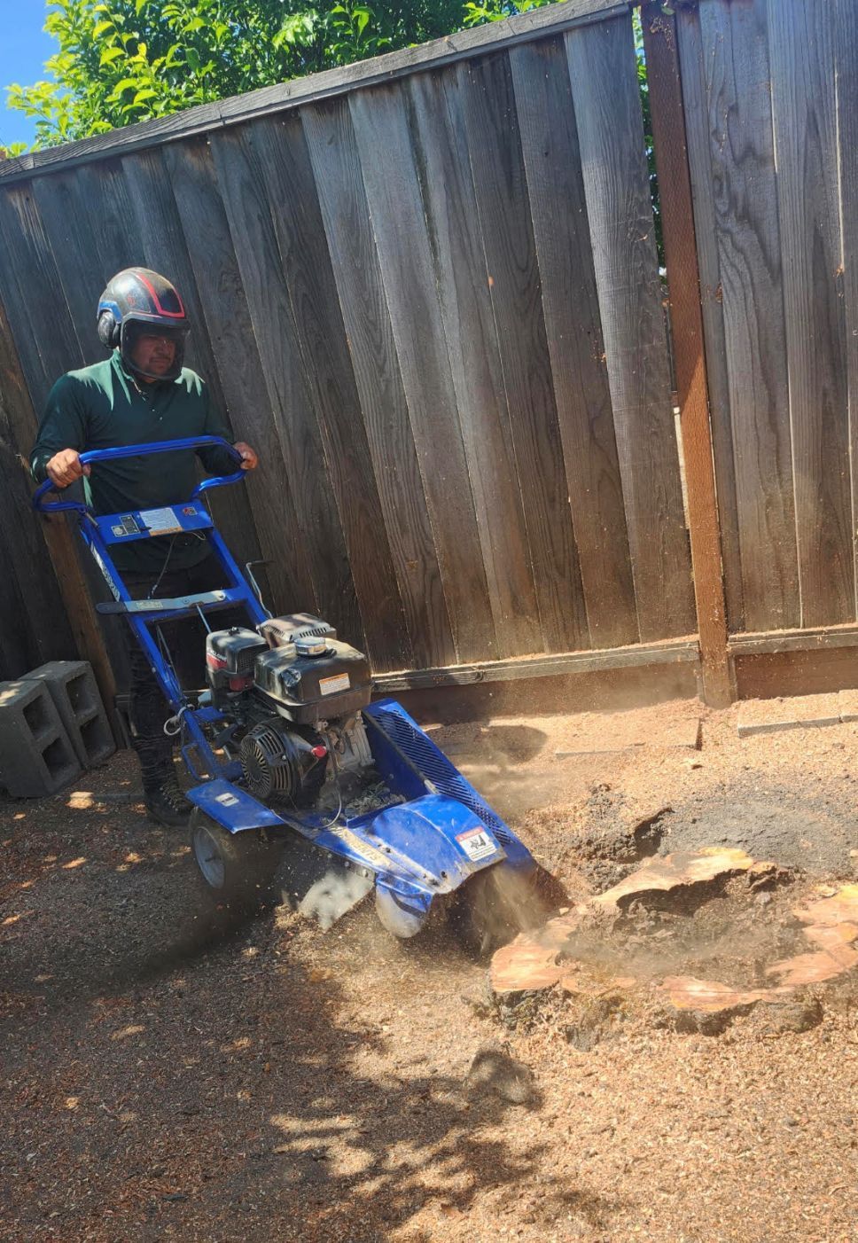 Two men shake hands beside a tree stump in front of a suburban house.