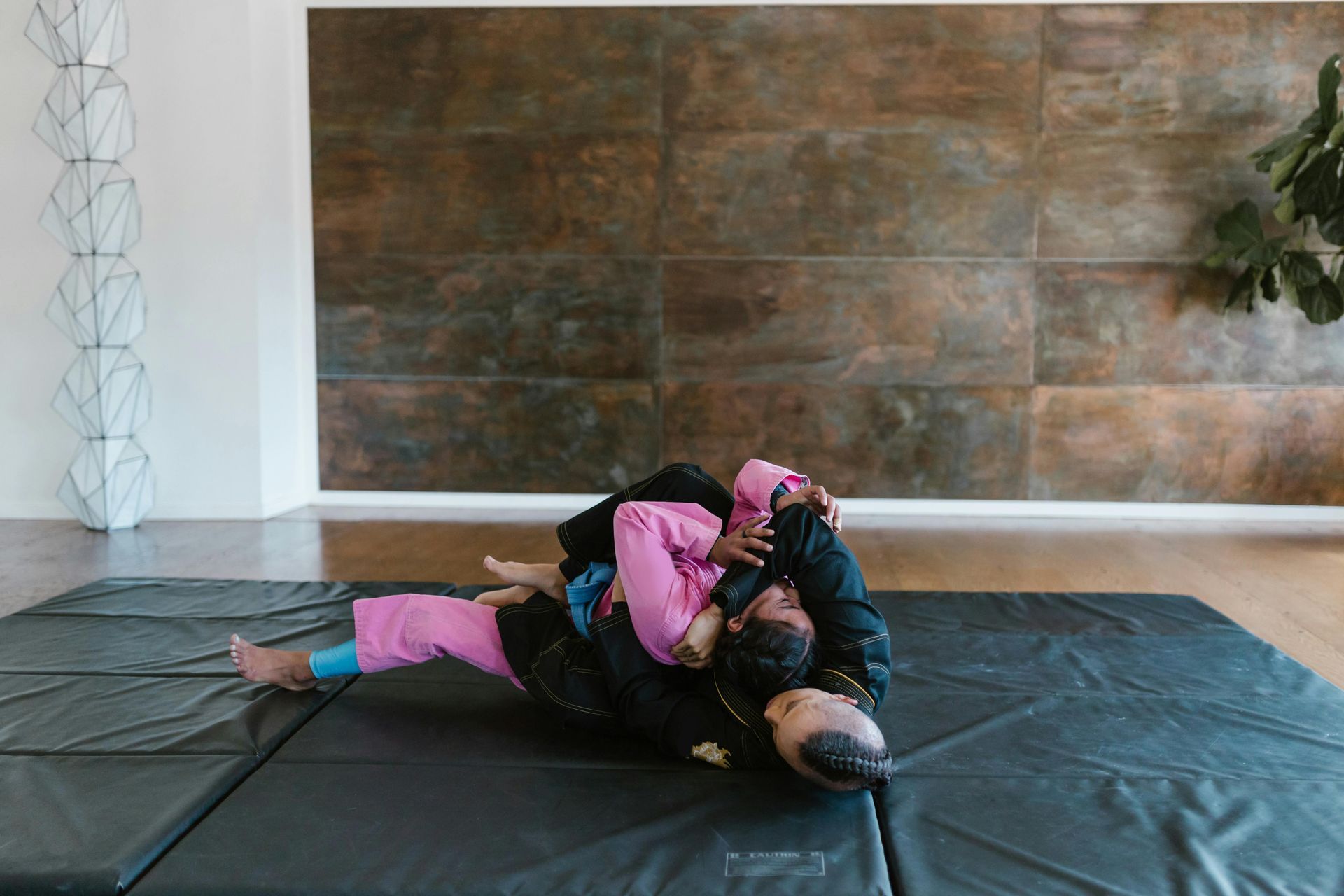 brazilian jiu jistu