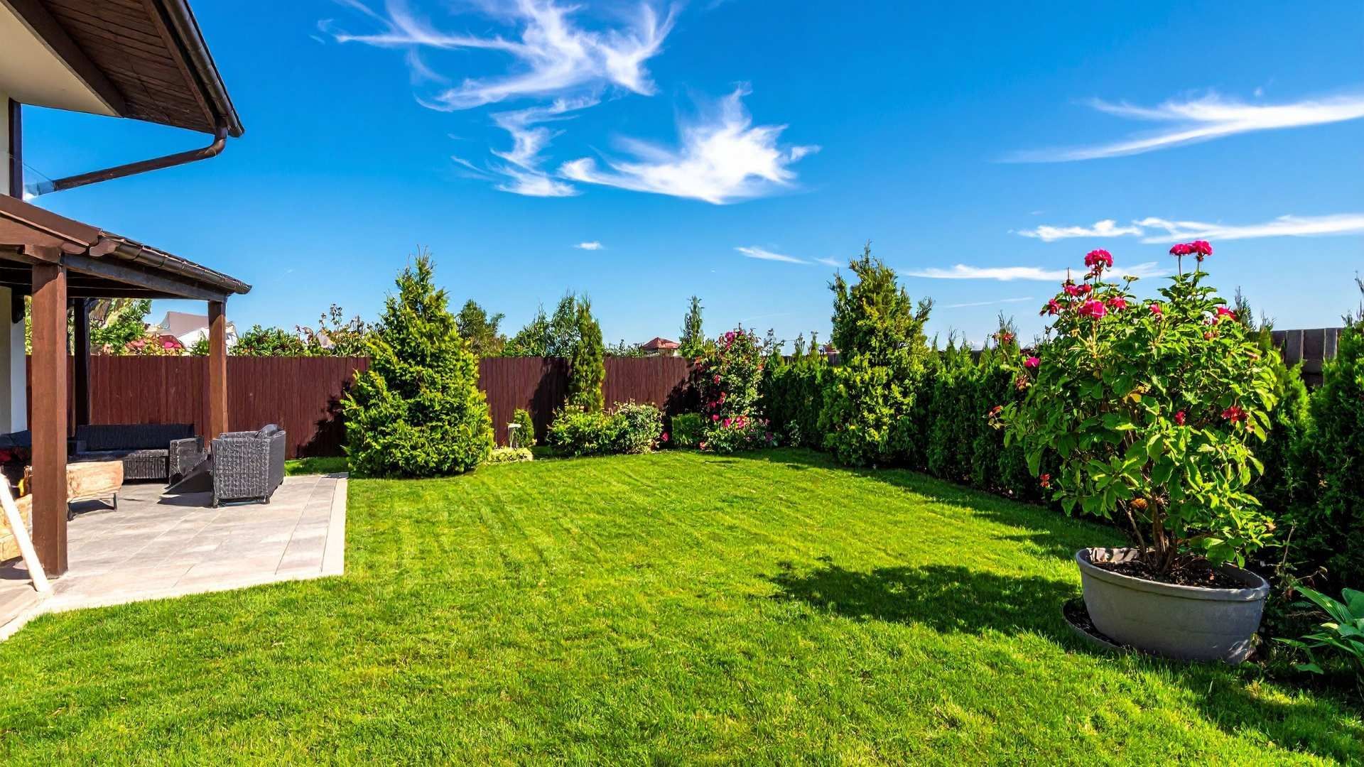 Sunny backyard with green lawn, patio seating, flowering plants, and a blue sky with clouds
