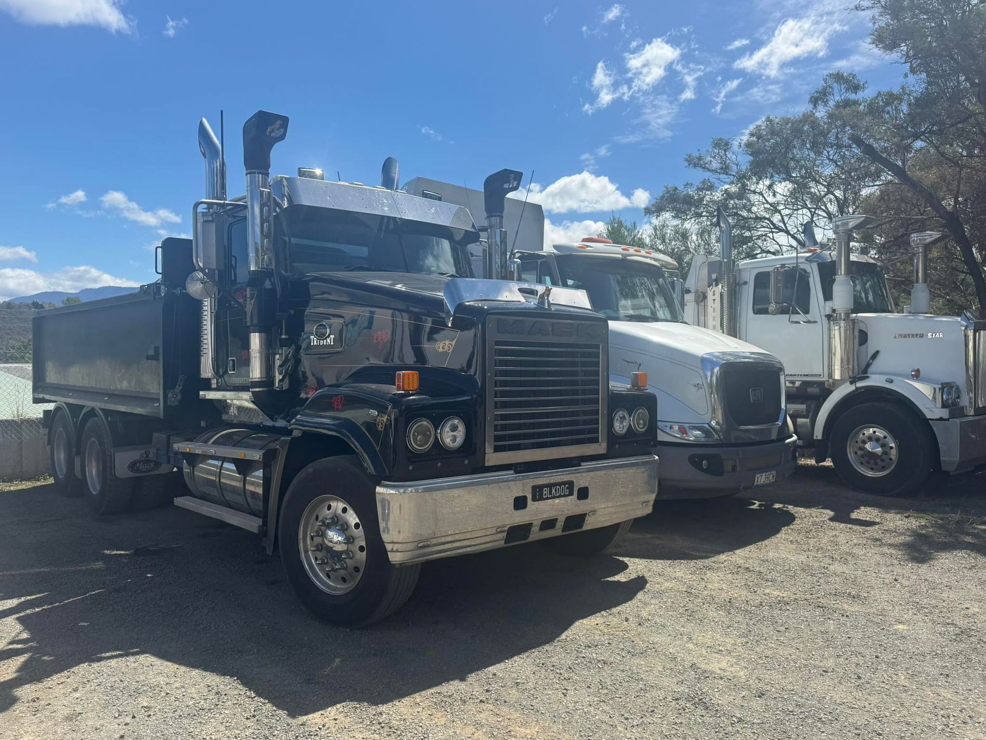 Three Heavy-duty Trucks Parked Side-by-side — CartEX in Mornington, TAS