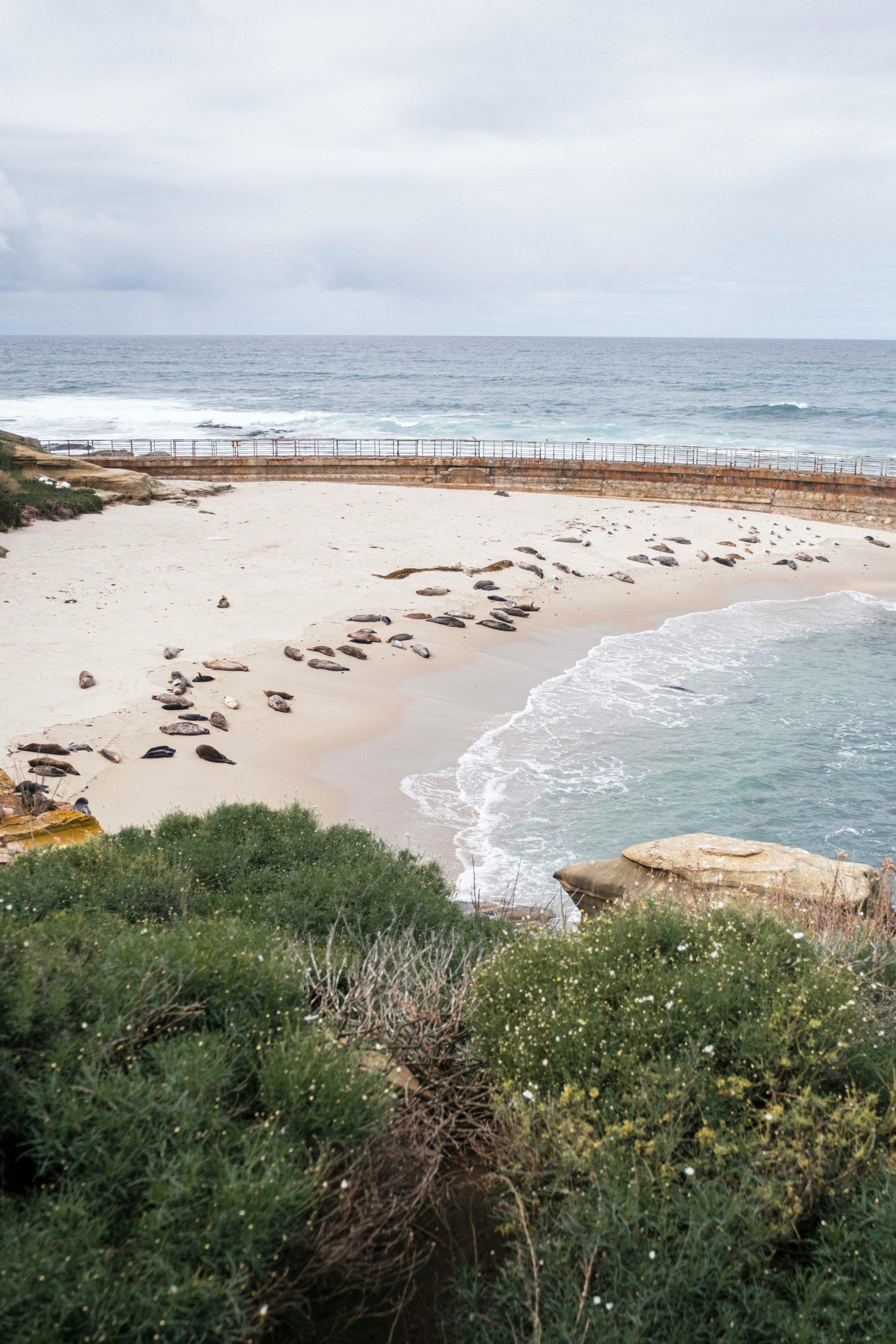 Secluded sandy beach with scattered rocks, green shrubs in foreground, and calm ocean under cloudy sky