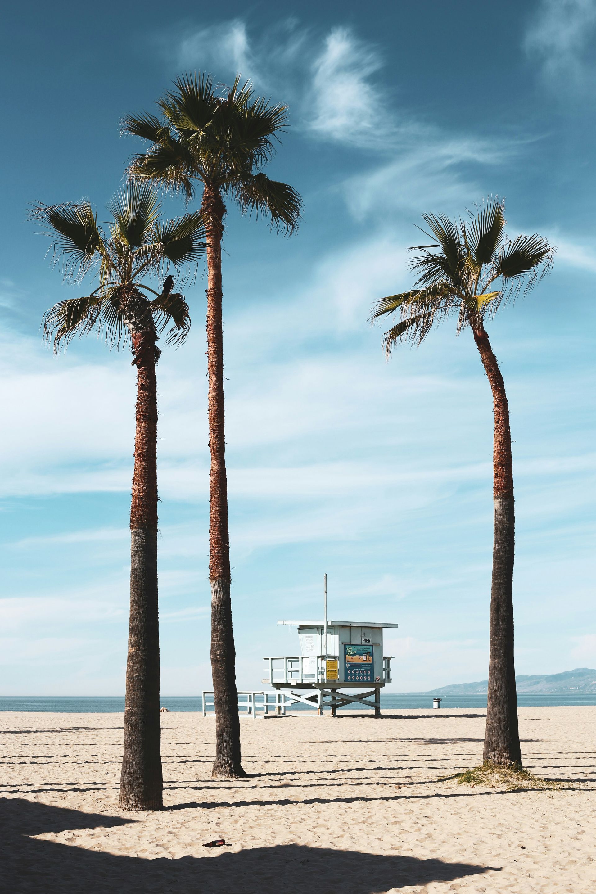 Four palm trees on a sandy beach with a lifeguard tower under a blue sky