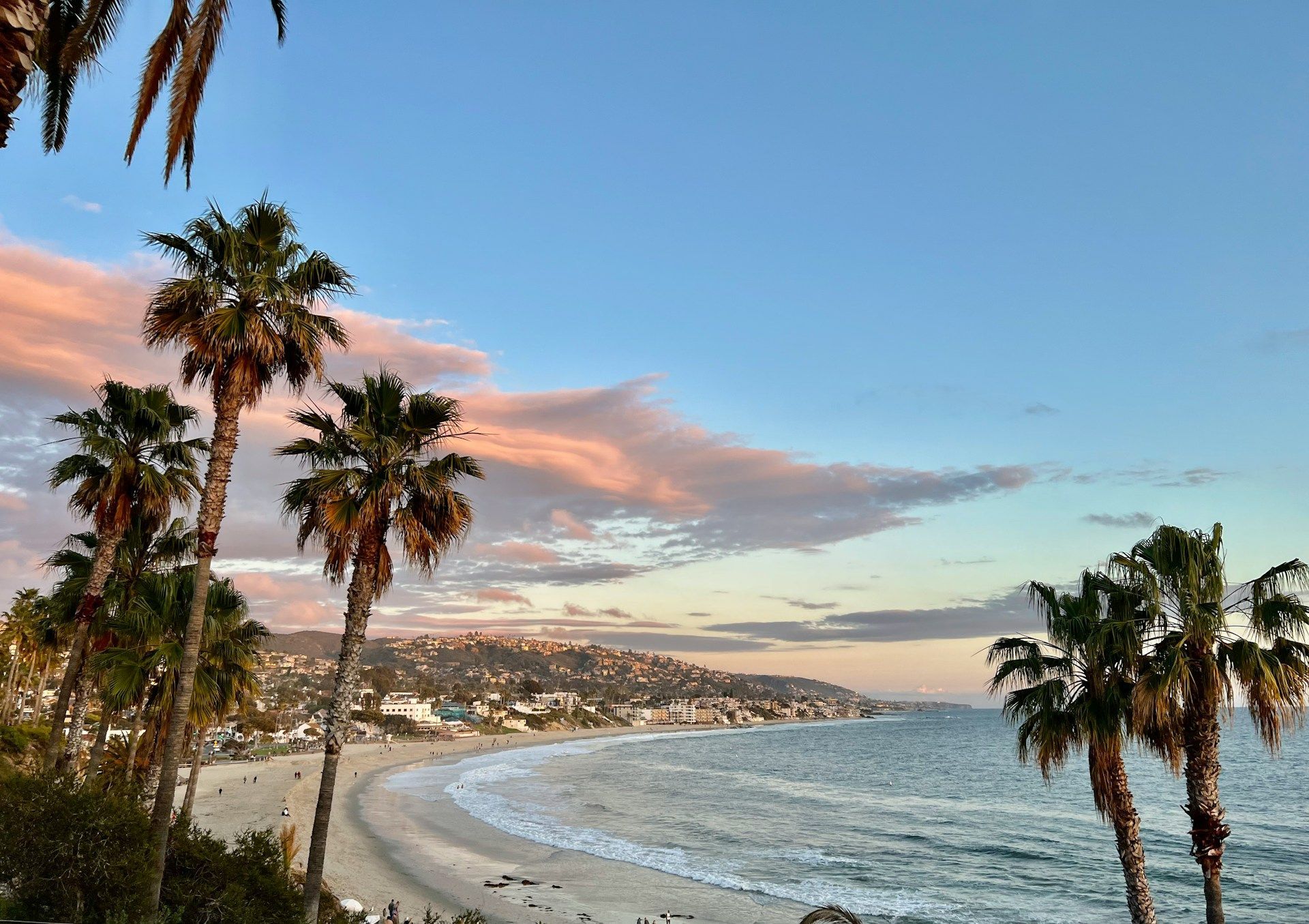 Palm-lined beach at sunset with waves, a curving shoreline, and pastel clouds over distant coastal hills