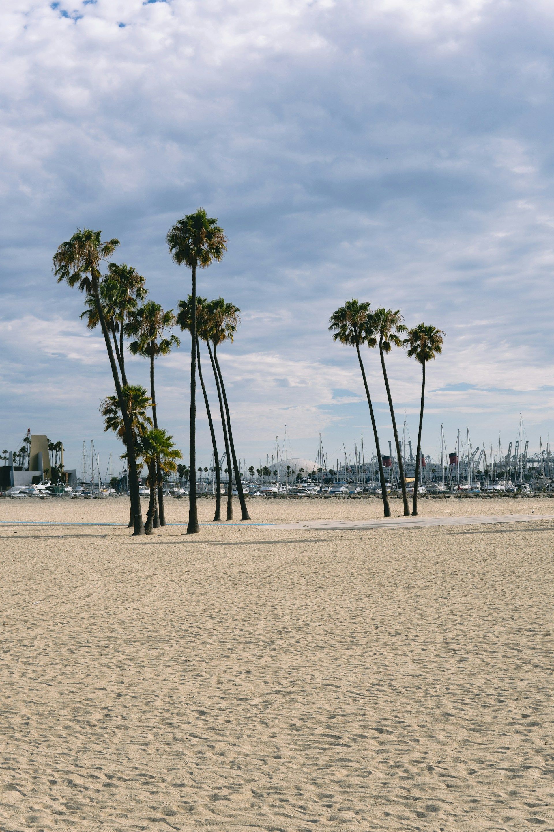 Palm trees on a sandy beach with a cloudy sky and distant marina masts