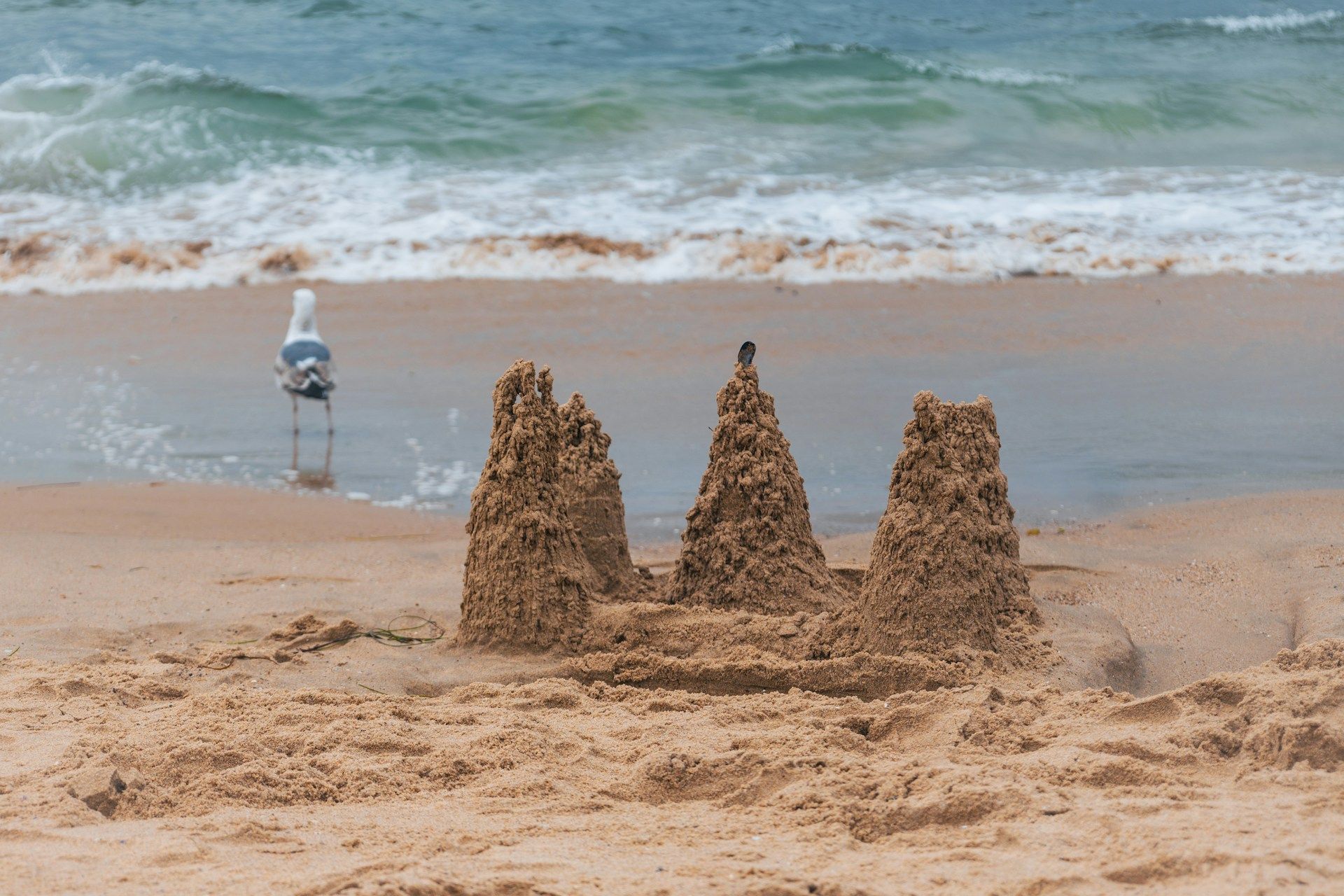 Sandcastle on a sandy beach with ocean waves and a seagull in the background