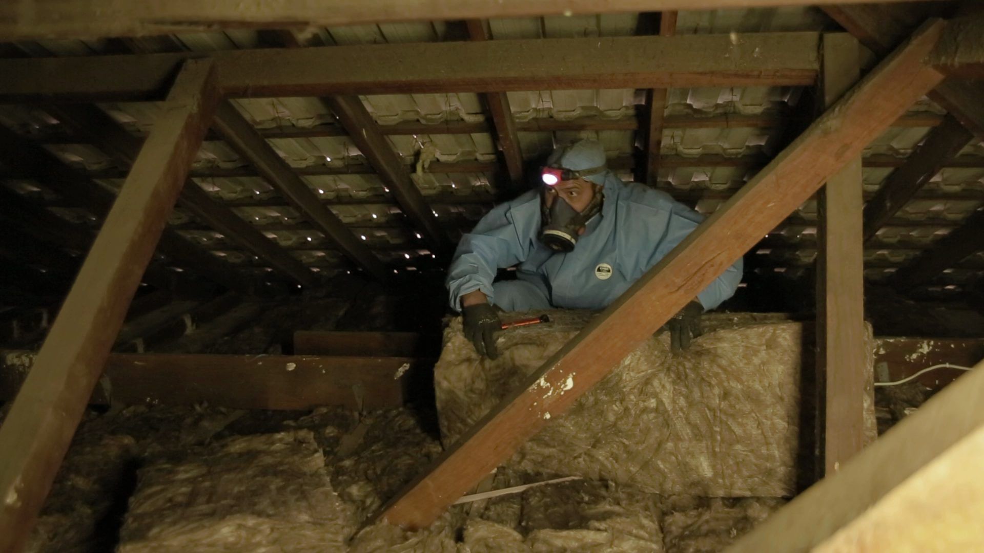 Ceiling Alert technician removing old insulation from a roof cavity