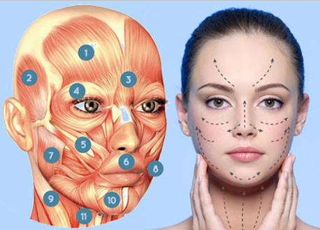Masajes Faciales