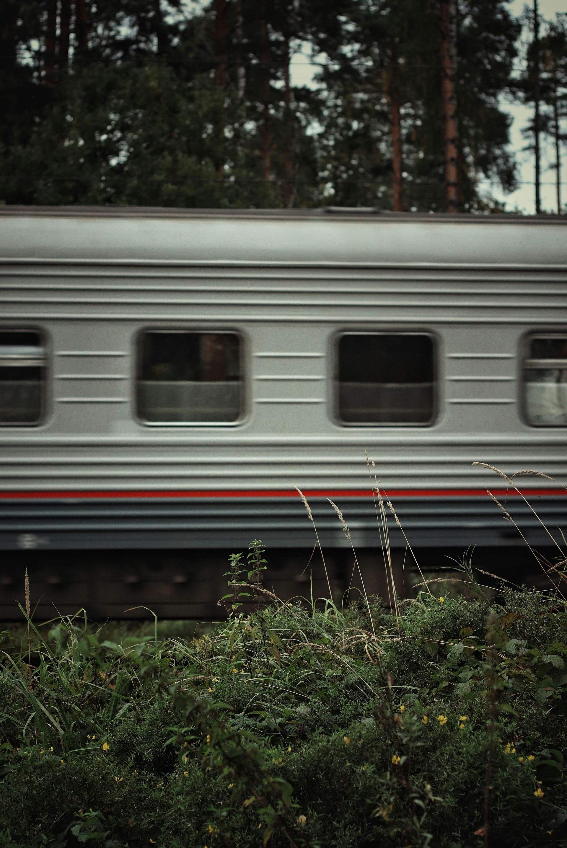 A side view of a gray passenger train car with red and blue stripes, moving past a green, grassy embankment and trees.
