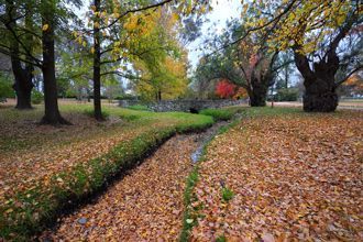 Autumn Scene In Park — Hoist Near Me in NSW