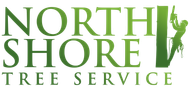 The logo for north shore tree service shows a man climbing a tree.