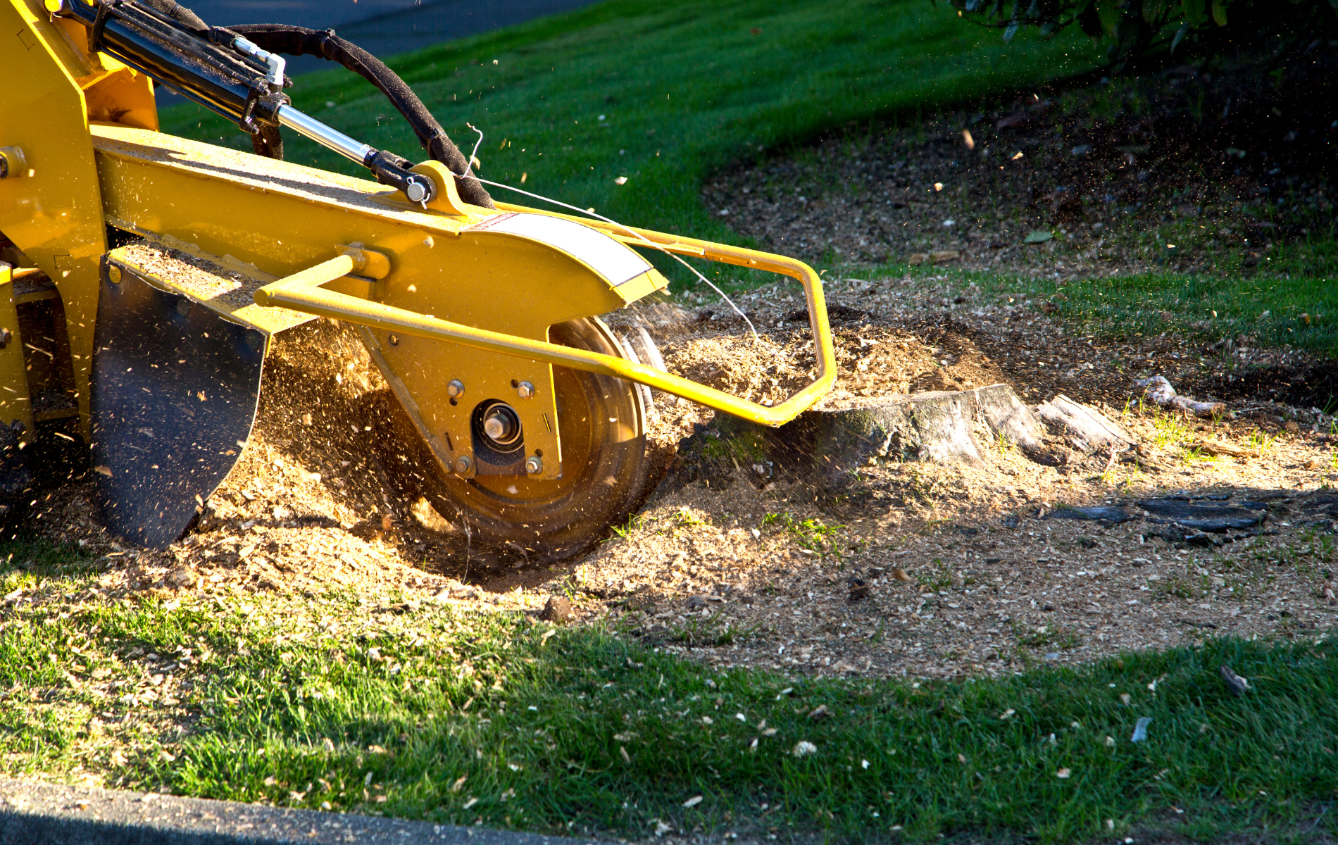 A yellow stump grinder is cutting a tree stump in the grass.