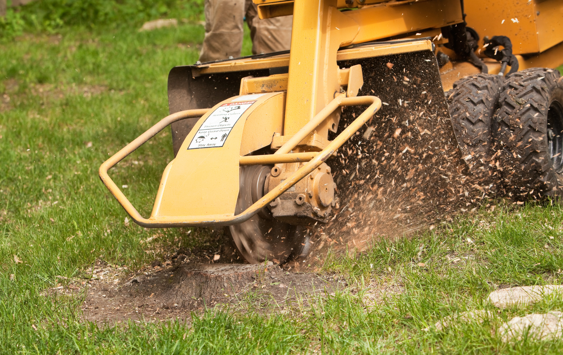 A person is using a stump grinder to remove a tree stump from the ground.