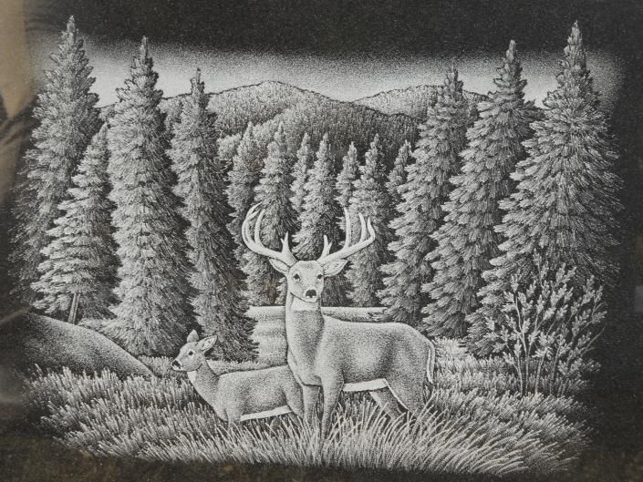 Two deer in a snowy pine forest, one standing with antlers and one resting beside it.