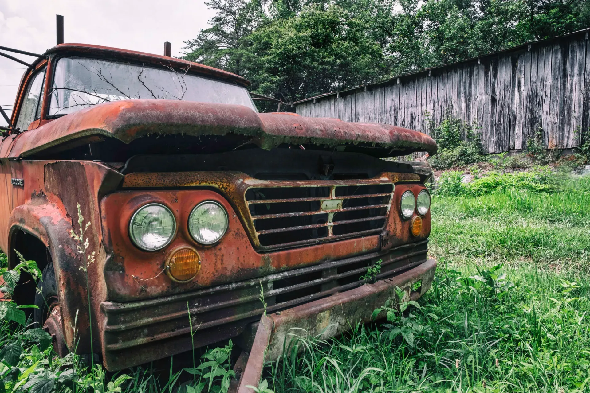 Rusty abandoned vintage pickup truck in overgrown grass beside a weathered wall