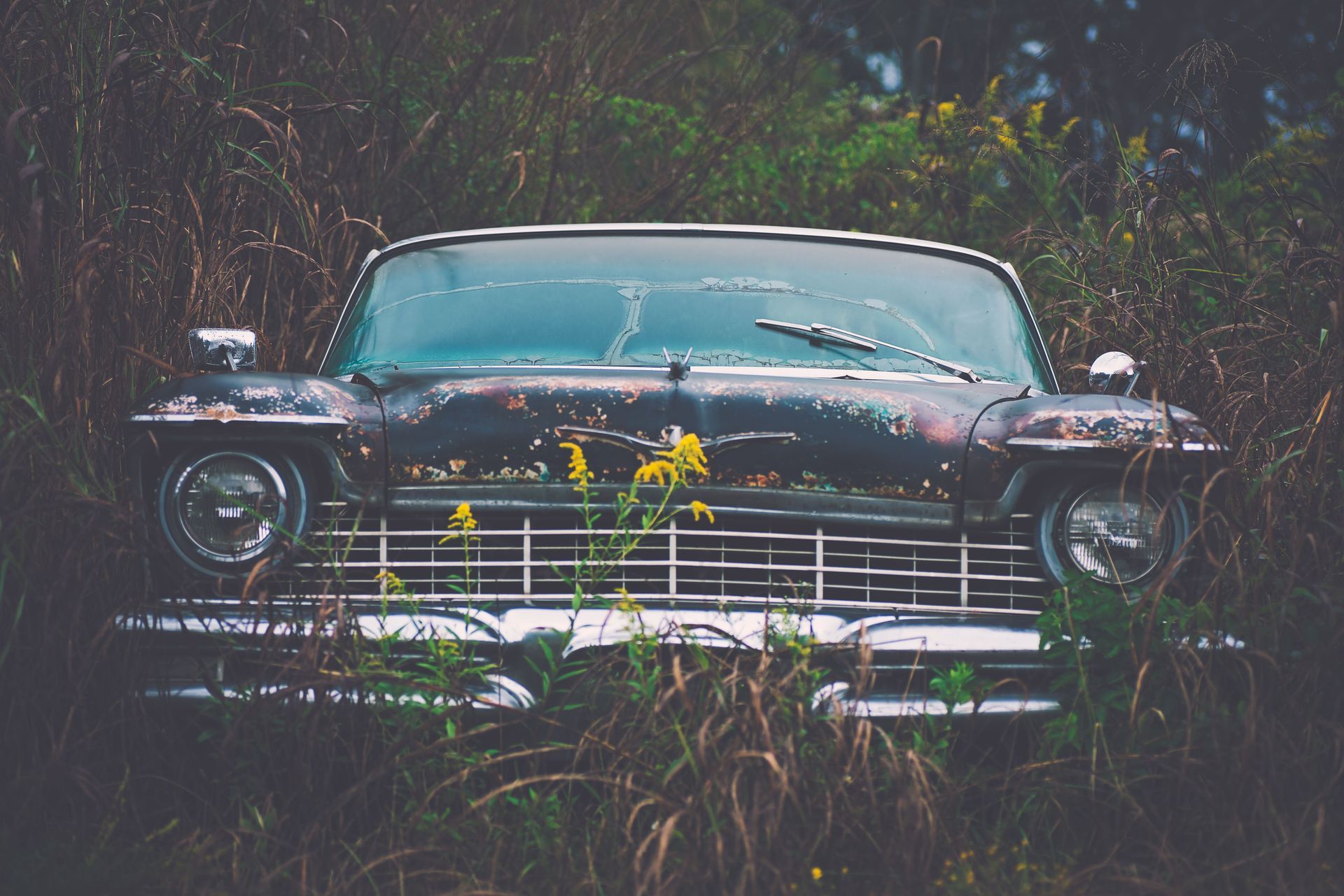 Old turquoise vintage car overgrown with weeds in a dark, abandoned field