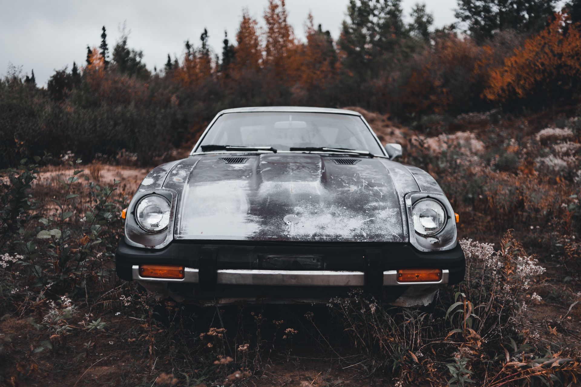 Front view of a weathered black sports car in a grassy field with autumn trees behind it
