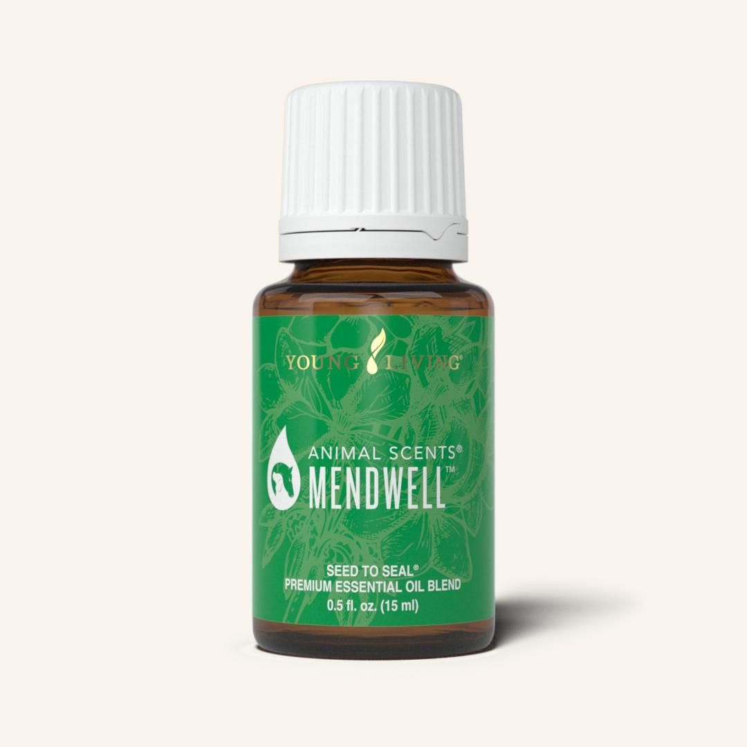 pet skin dryness natural remedies supplements