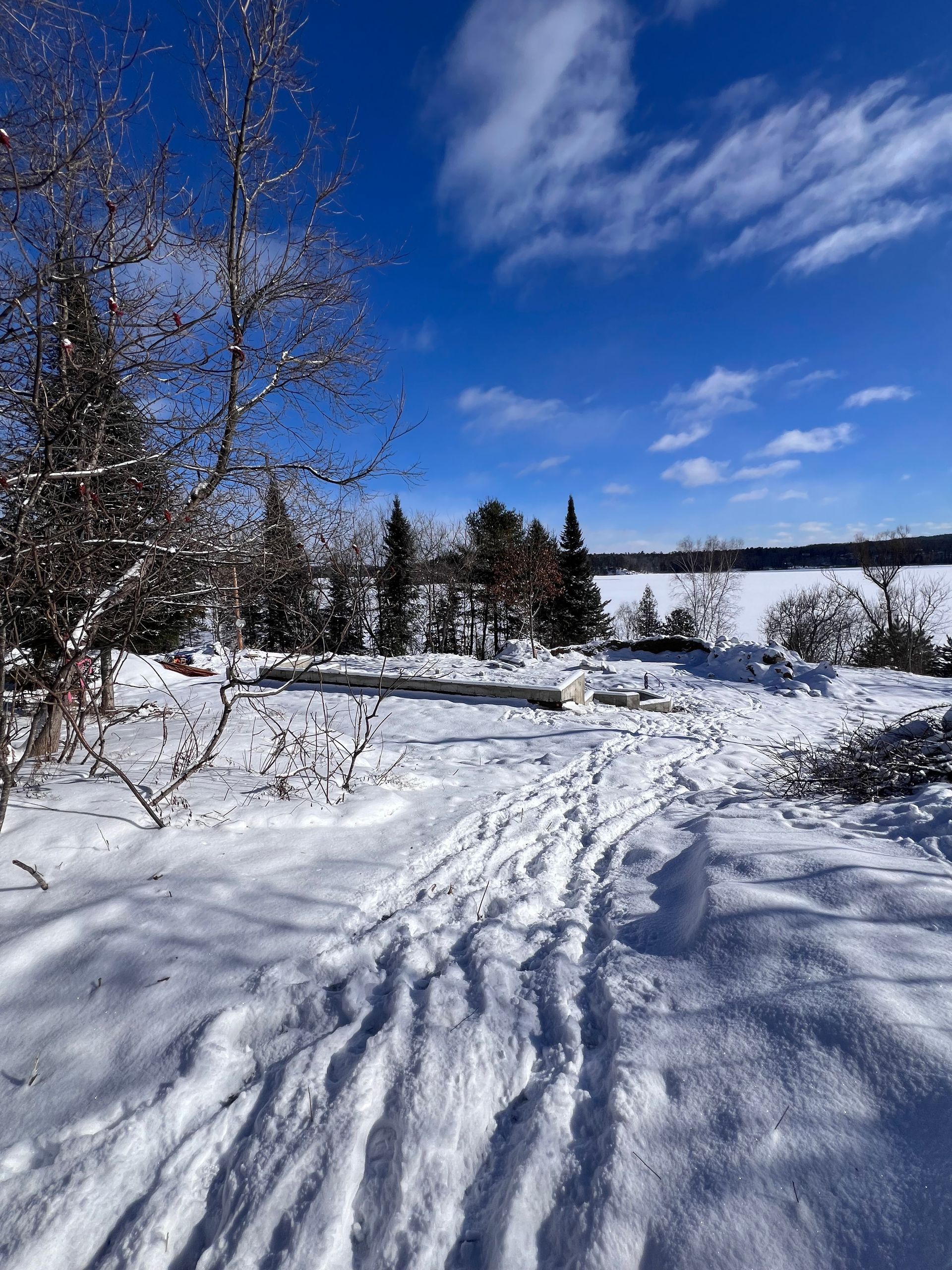 Sentier enneigé à travers une forêt hivernale sous un ciel d'un bleu éclatant