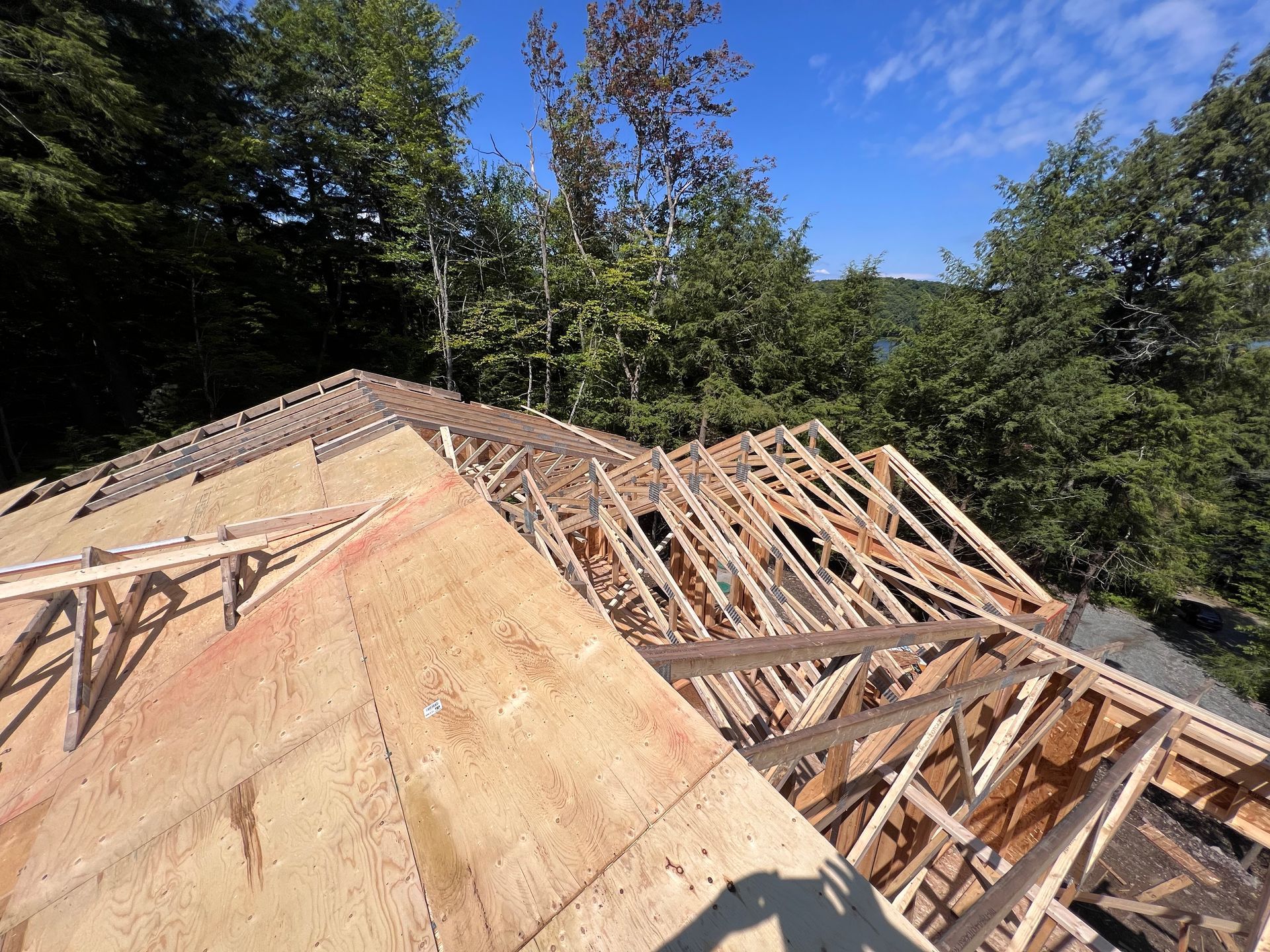 Toiture en construction avec charpente apparente en bois et revêtement en contreplaqué, près des arbres, sous un ciel bleu.