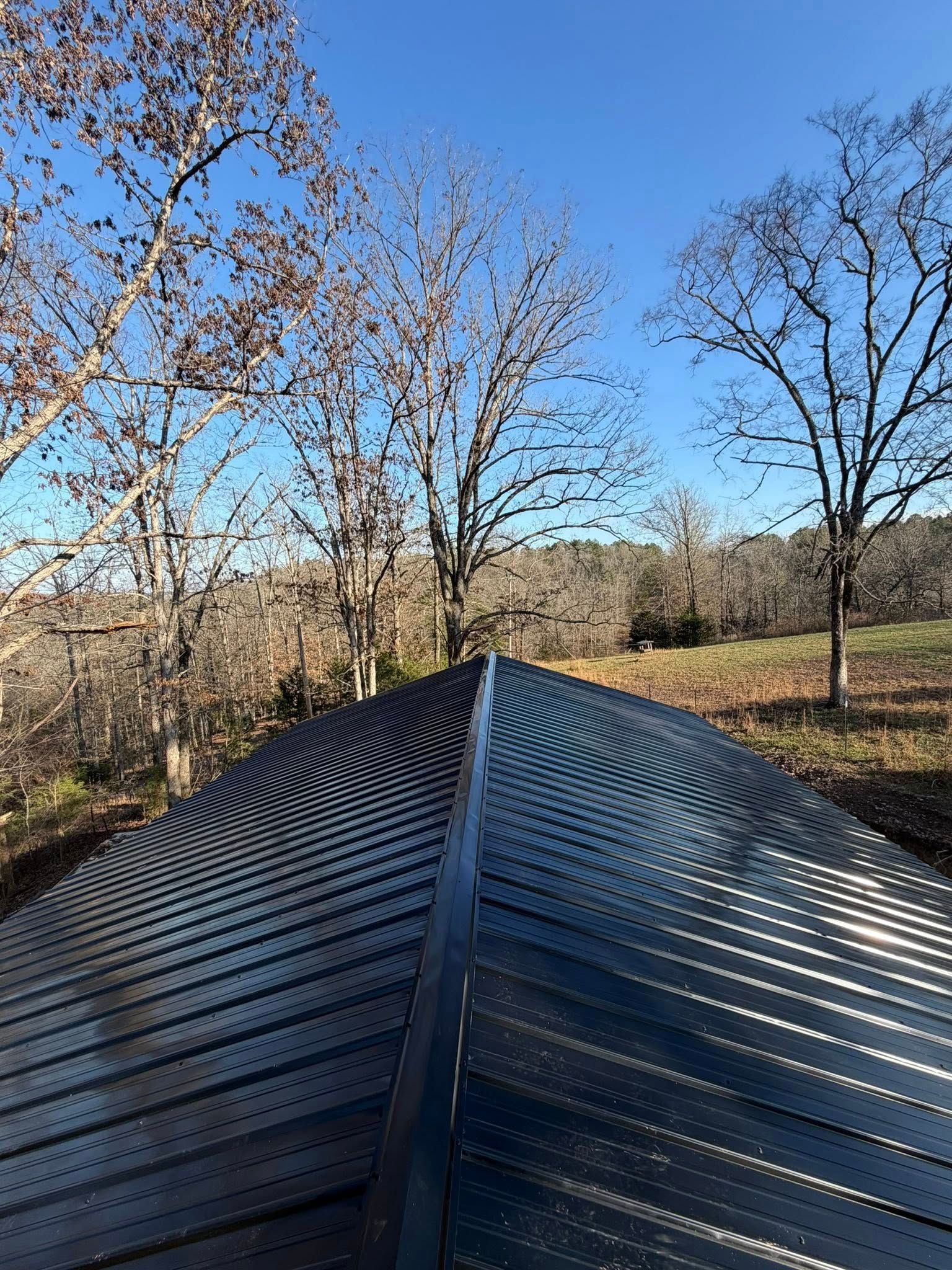 Black metal roof foreground with leafless trees and blue sky in a rural landscape