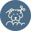 White line icon of a person holding a magnifying glass over a globe on a blue circle background