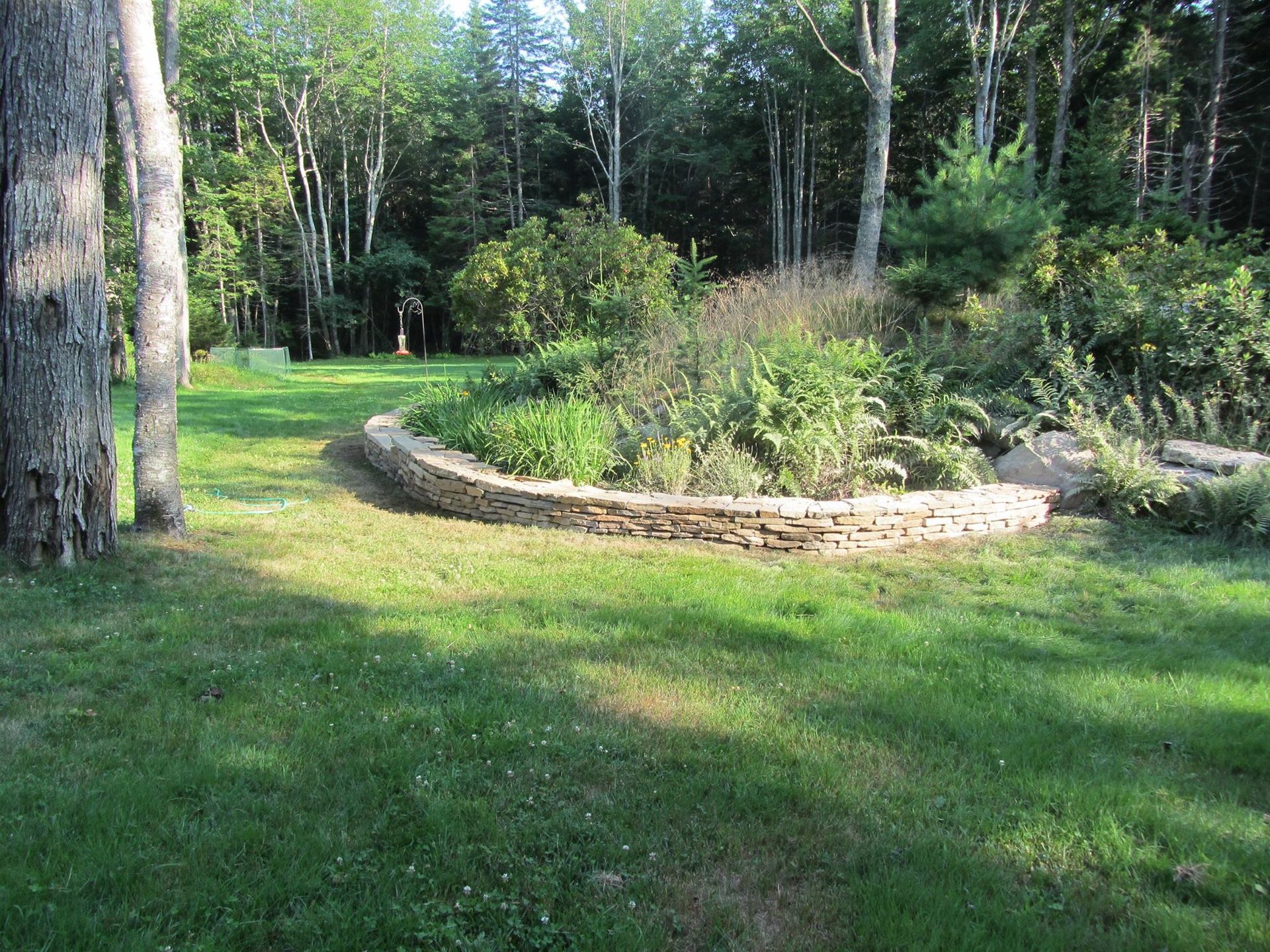 Grassy forest clearing with a curved stone planter and shrubs surrounded by trees