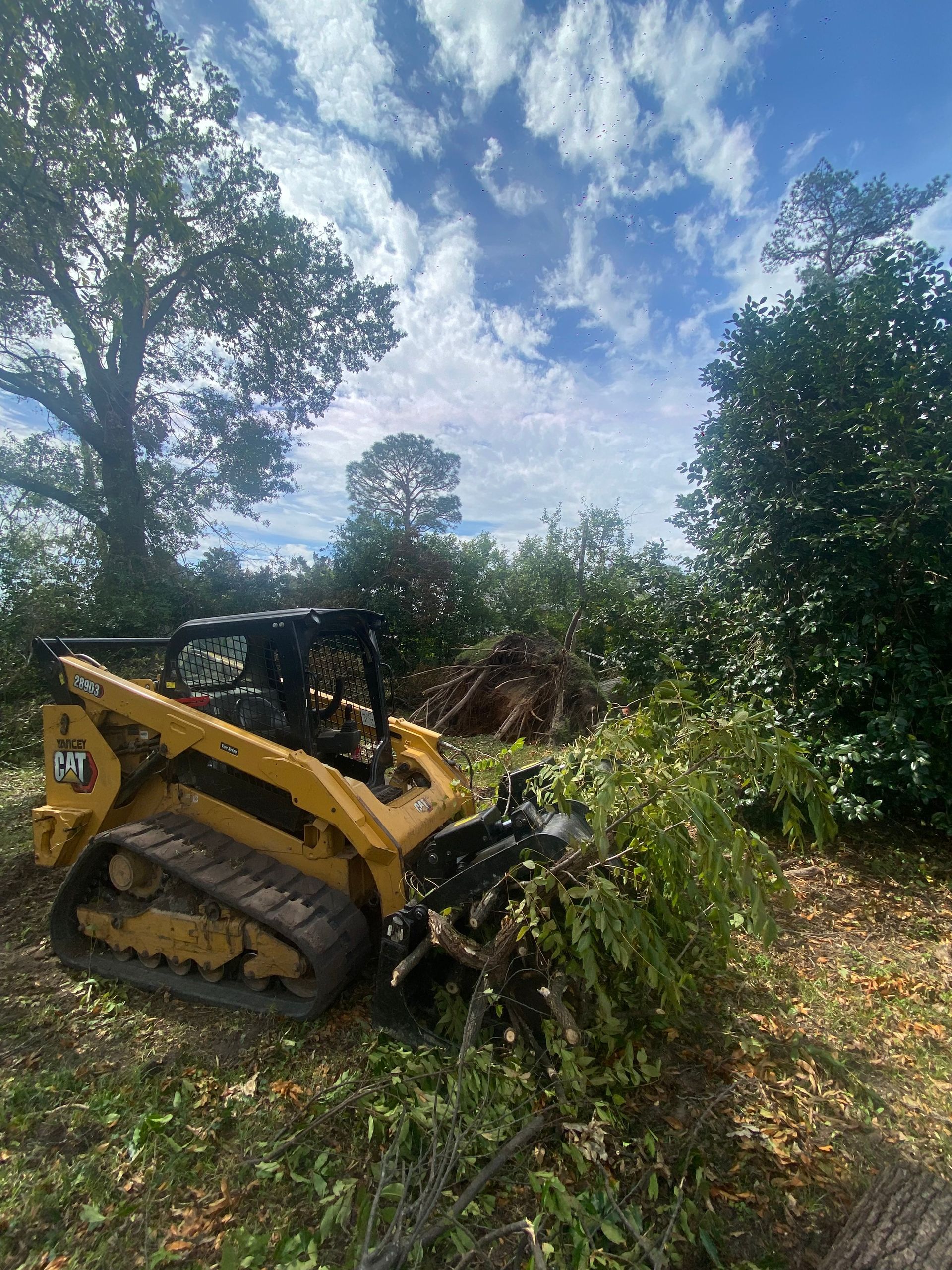 Yellow skid steer clearing brush in a wooded area under a cloudy blue sky