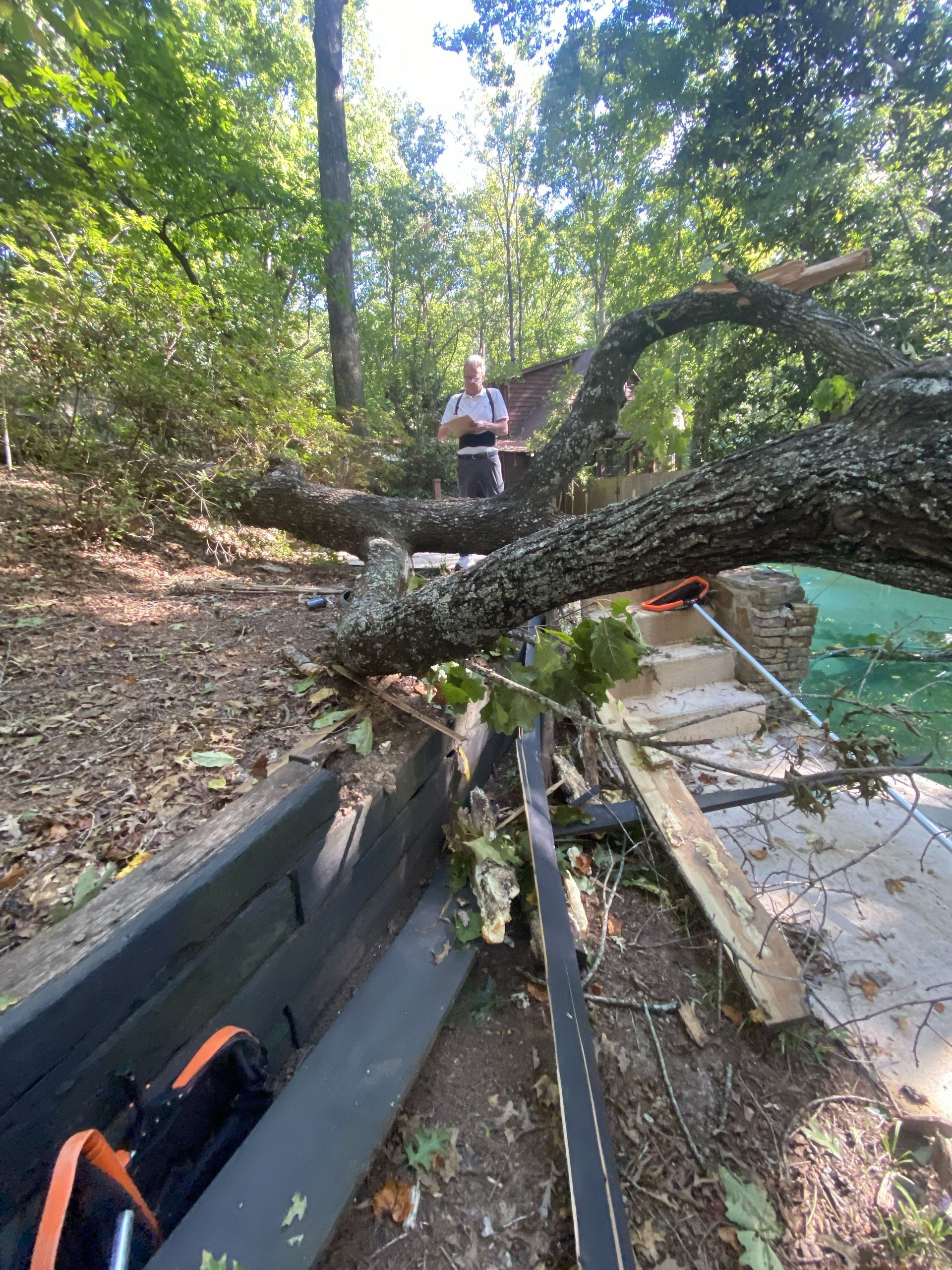 Person standing by a fallen tree blocking a woodland path beside a canoe and wooden dock