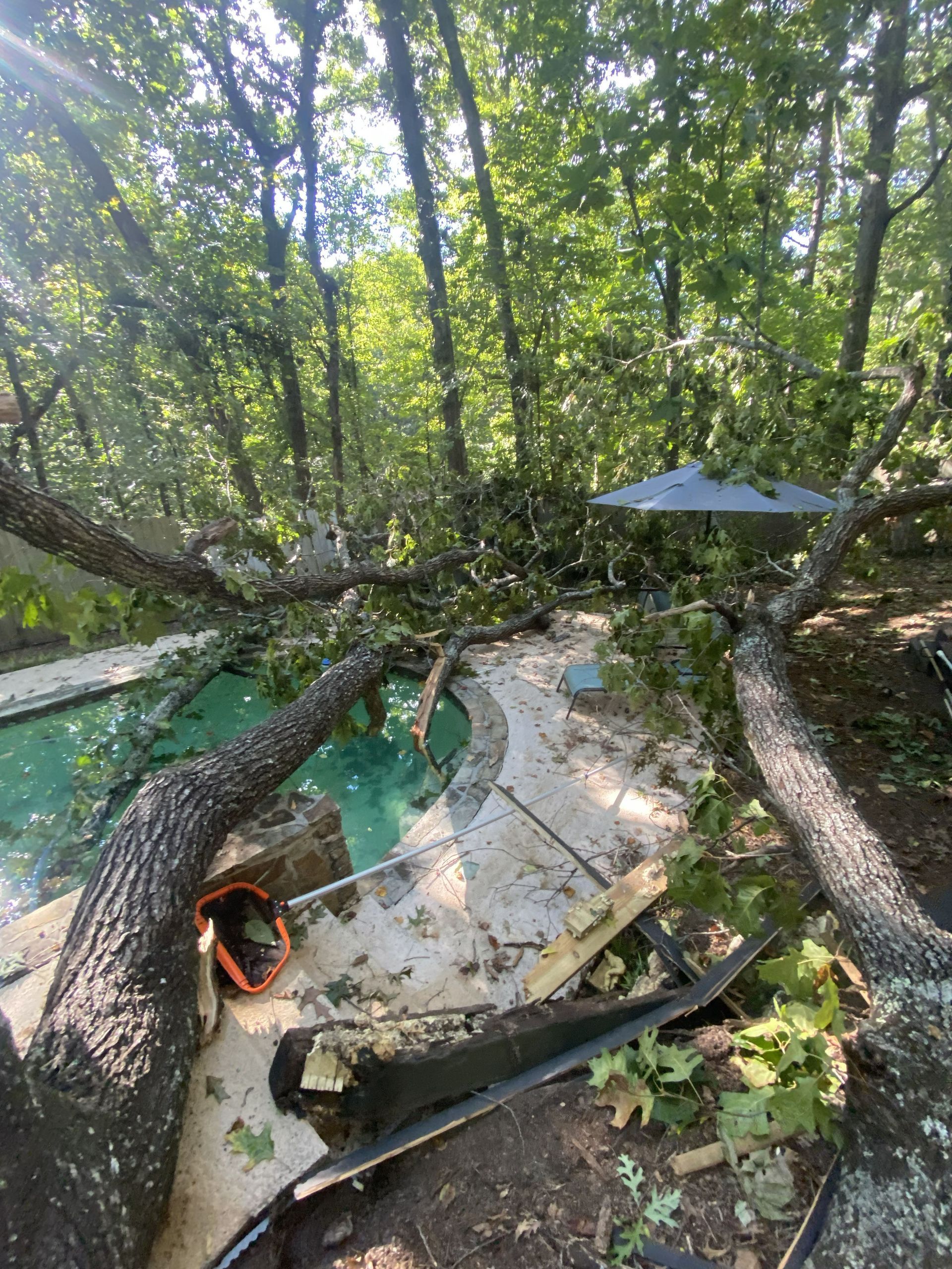 Mangrove walkway beside turquoise water, with fallen trees and a small dock or roofed platform