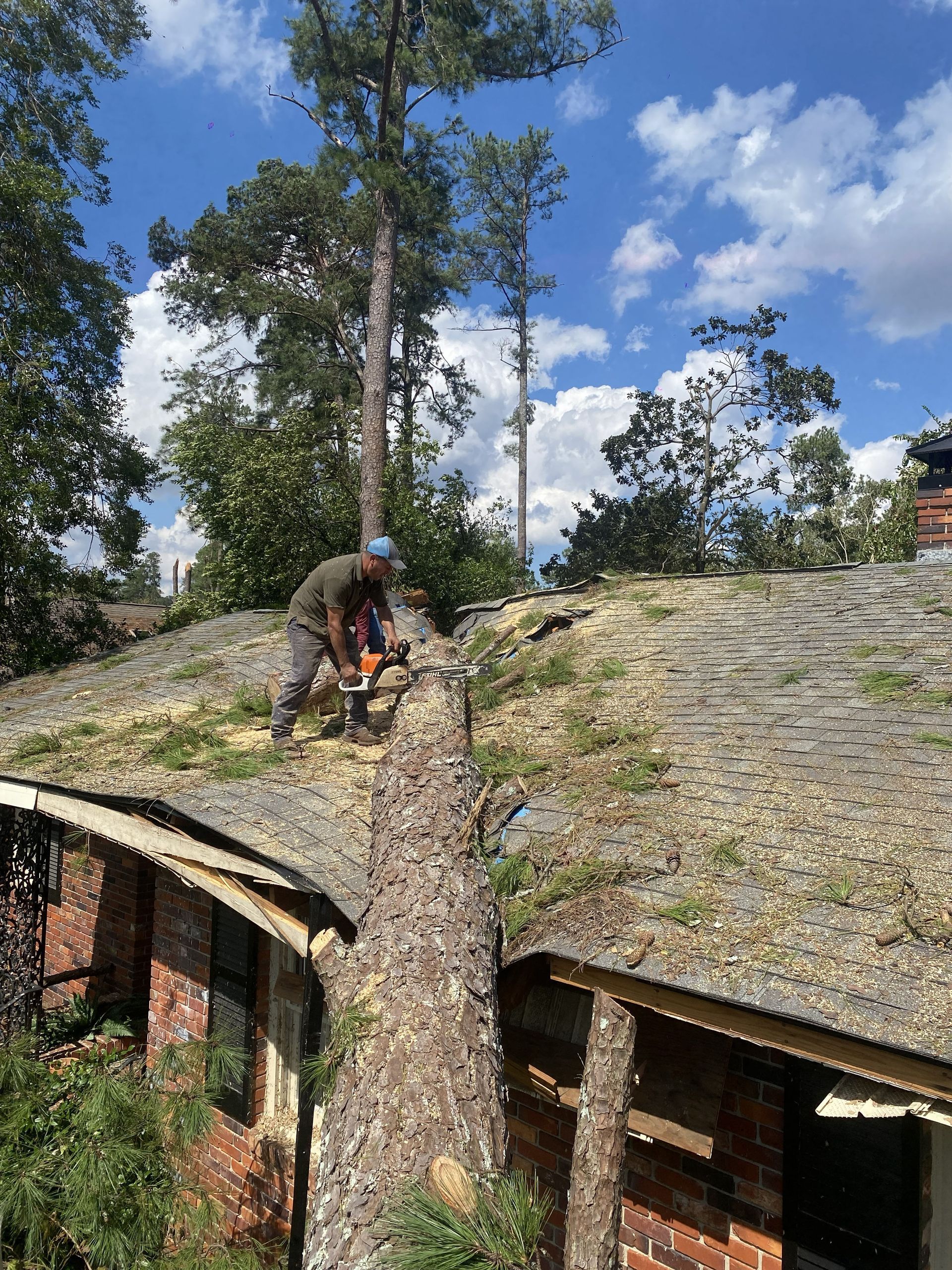 Worker trimming a tree growing through a roof beside brick buildings under a blue sky