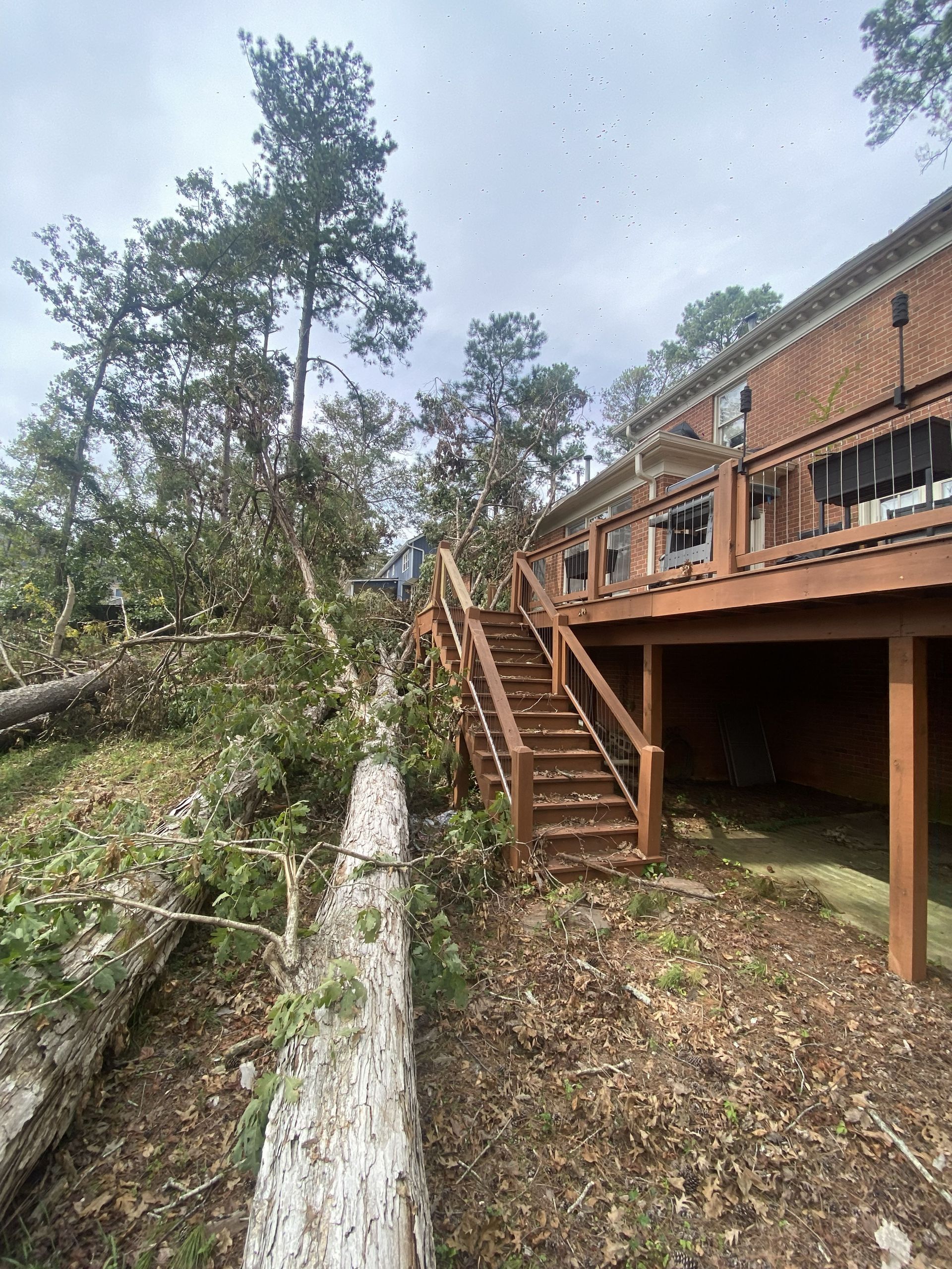 Brick house deck and staircase beside a fallen tree in a wooded yard
