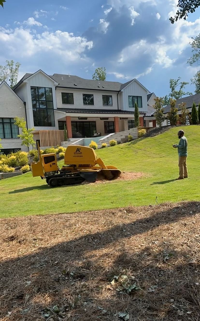 A yellow stump grinder cuts into a tree stump, creating a pile of wood chips in a residential yard. A yellow stump grinder cuts into a tree stump, creating a pile of wood chips in a residential yard.