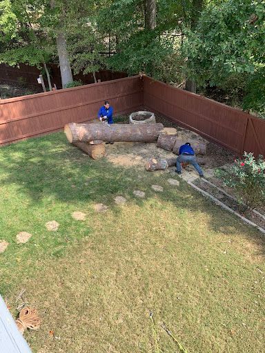 Backyard with two people in blue near a large log and fence, surrounded by grass and trees.