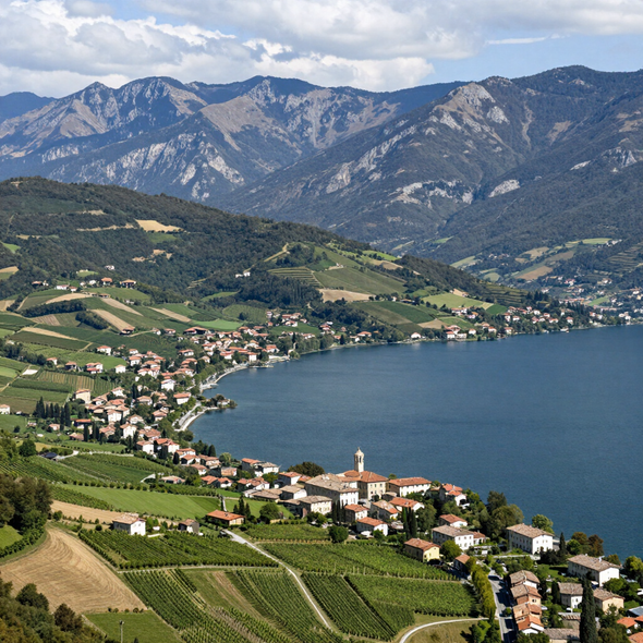 Incantevole villaggio lacustre con vigneti e montagne sotto un cielo parzialmente nuvoloso.