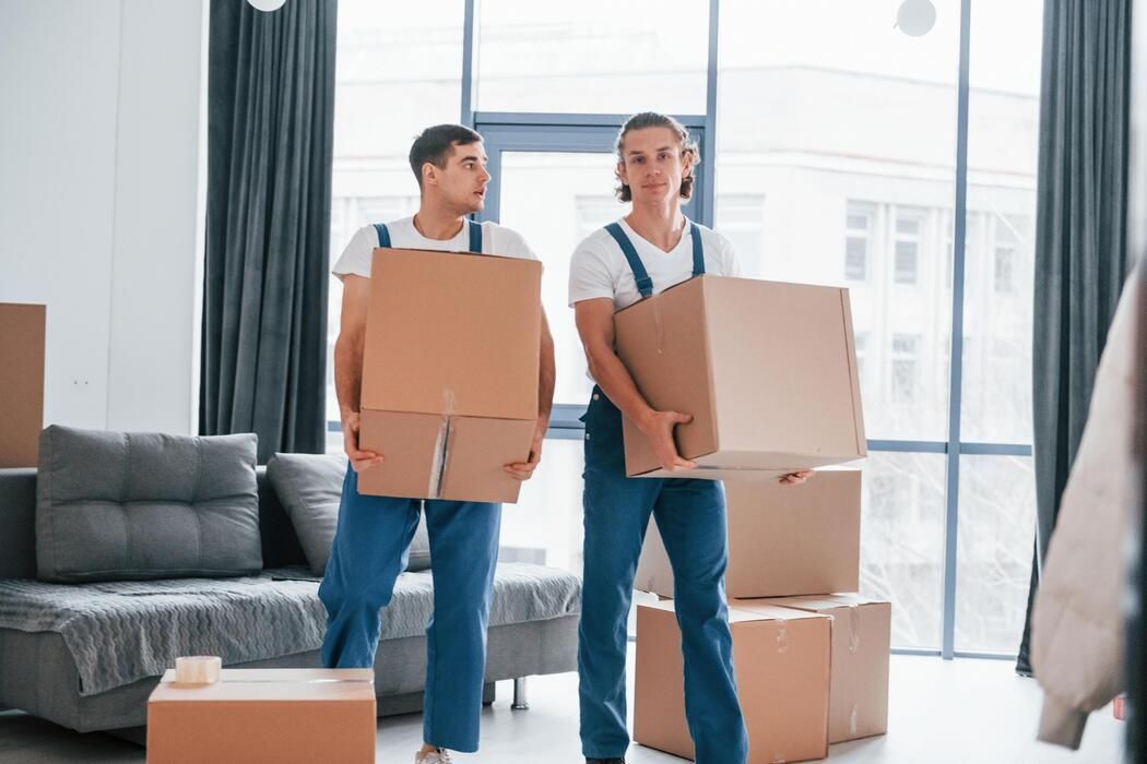 Two movers carrying cardboard boxes in a bright living room beside a couch and large window.