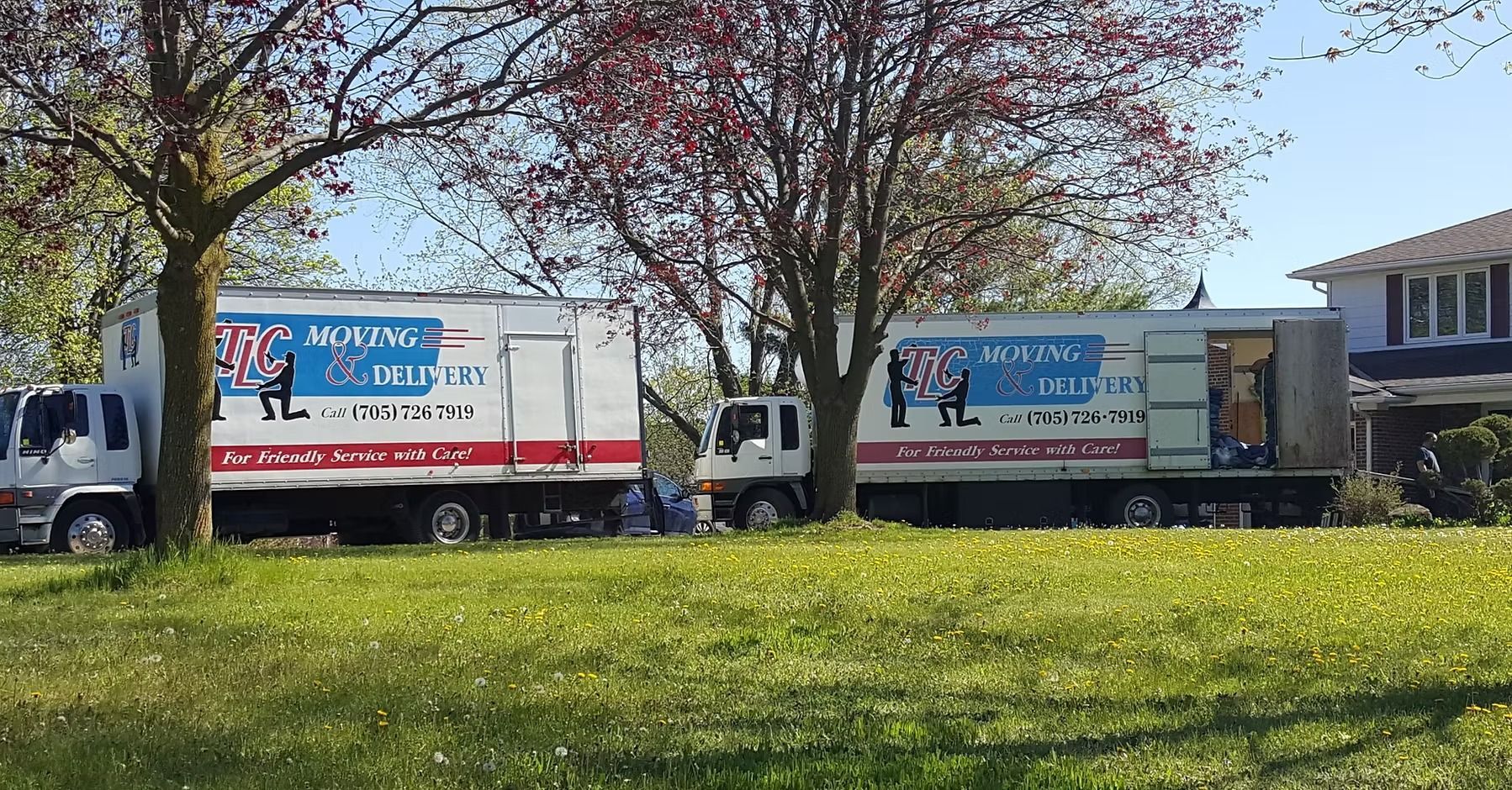 Two parked delivery trucks in a grassy yard, one white and one gray, under trees on a sunny day