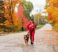 Woman walks several dogs on leashes on a road with autumn foliage.