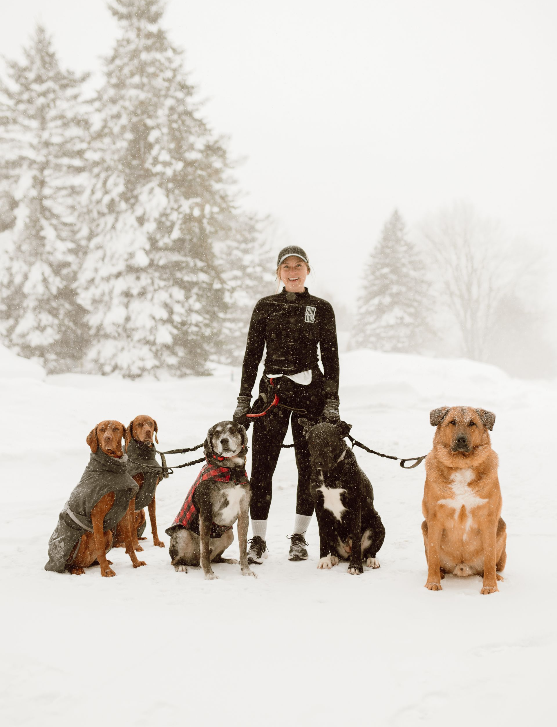 Woman walks several dogs on leashes on a road with autumn foliage.